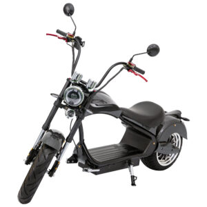 4000W Citycoco Electric Ebike Scooter Motorcycle